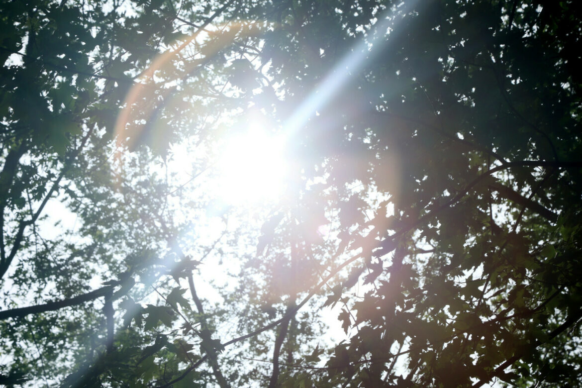 Fala upa?ów nad Polsk?