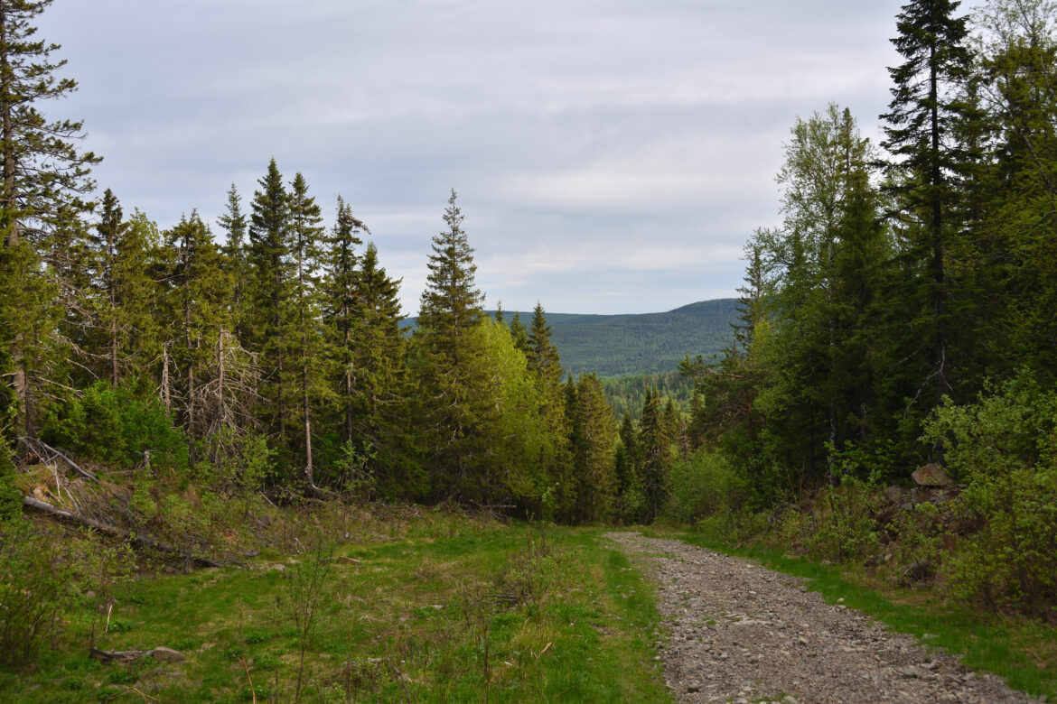 BelayaMountain_006_5471