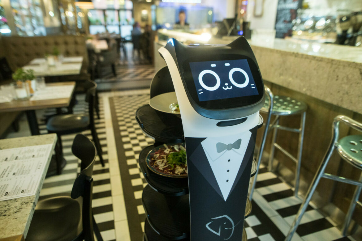 Robot obs?uguje klientów w restauracji w Poznaniu