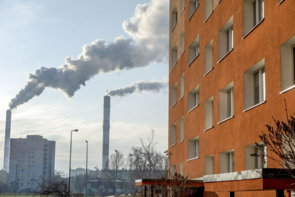 Reporter baza 2020-06-a